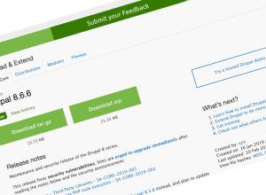 Drupal 8.6.6 