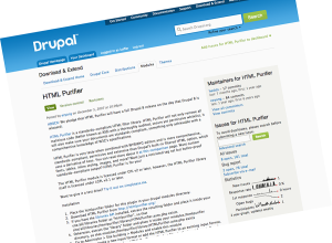 screen HTML Purifier drupal