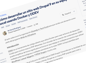 instalar Drupal 9 local